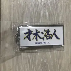 Item thumbnail for item 63e0fb71-eeab-4f1d-929d-77bb9c06ea92