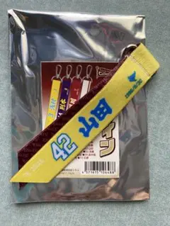 Eコレ ボンフィン　42 山田