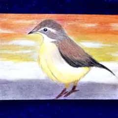 黄色鳥さんA　色鉛筆画　ハガキサイズ
