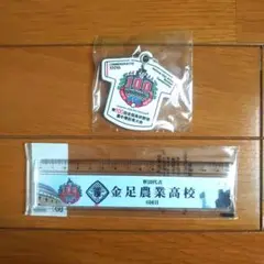 金足農業高校・大阪桐蔭高校 記念グッズセット