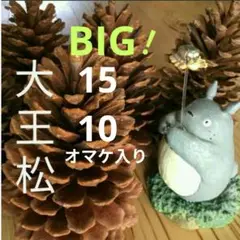 Item thumbnail for item 4ff5cfe8-28fa-456c-8906-31dd1ae94982
