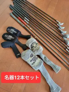 プロギア SUPER IRON キャロウェイ ホークアイ チタン 計12本セット