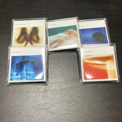 PITB People In The Box 缶バッジ