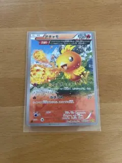 アチャモ C XY5