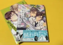 ハイスペ男子になつかれています