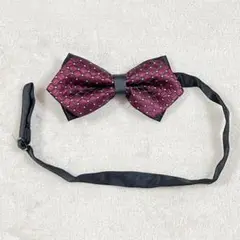 Item thumbnail for item 08c42c4d-ff72-4a1b-9702-977d99dbb16f