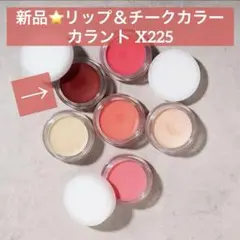 新品⭐️リップ チークカラー カラント X225 レディースメイク レッド