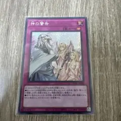 神の警告 シークレット