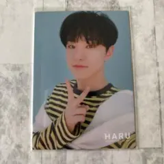 セブチ HARU ホシ トレカ