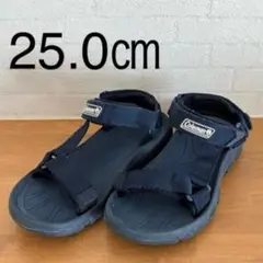 Item thumbnail for item 818452bd-f3ab-4d4c-94c7-fccda291cb12