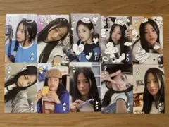 ミンジ トレカ シーグリ2023
