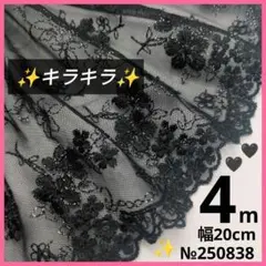 №250838 チュールレース