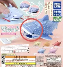 ジンベイザメ　メジャー　サメジャー