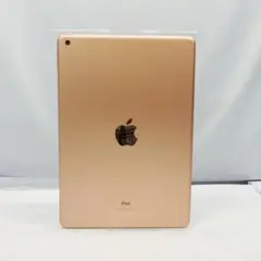 美品 Apple iPad 10.2インチWi-Fi 32GB MW762J/A