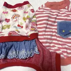 Item thumbnail for item 0dcacee6-7821-4cec-a67f-1f5c7856f438