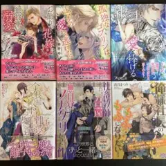 BL小説セット 6冊　③