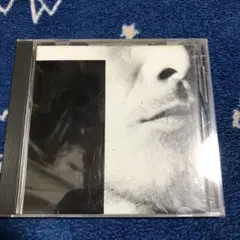 矢沢永吉 共犯者