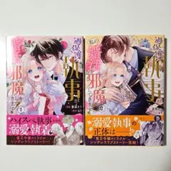 ２巻セット　過保護な執事が私の婚活を邪魔してきます！