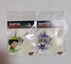 HUNTER × HUNTER ゴン キルア セット アクリメトリー