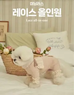 Item thumbnail for item 452361f5-fef3-4ea0-a07e-e3831d46b434