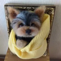 羊毛フェルト****おくるみに黒ヨーキーちゃん