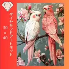 ダイヤモンドアート　キット　ピンクのインコ　ラウンド　３０×４０ E-DA15
