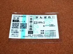 ハヤヤッコ / 有馬記念 / 2024 / 応援馬券 ハヤヤッコ / 有馬記念 / 2024 / 応援馬券 - メルカリ