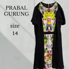 PRABAL GURUNG フラワープリント ワンピース 14