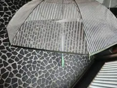 Item thumbnail for item d9e396c1-41a6-4b9e-8e42-ab47191edf3f