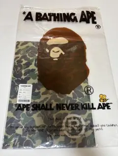 Item thumbnail for item a5056062-da66-41bd-8838-7b1cce1e9b34