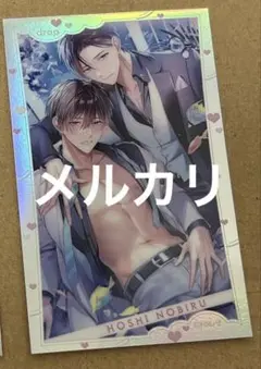 drap25周年記念展 星ノビル 　オーロラカード　傷あり