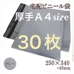 Item thumbnail for item f73c7437-fed5-4aa8-9aea-9da3aee5c02f