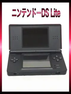 【N1256-25-1】美品 正常可動 ニンテンドー DS Lite ソフト