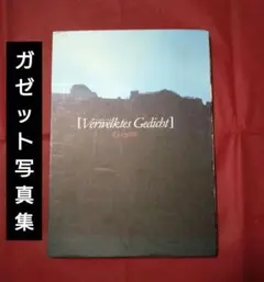 2025年最新】the GazettE ポートレートの人気アイテム - メルカリ