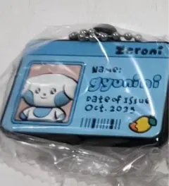 Item thumbnail for item 34eb4371-6b1b-4f45-98a2-a147d4336052