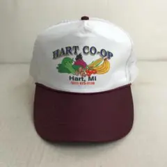 【USA古着】HART CO-OP フルーツ ビンテージ トラッカーキャップ