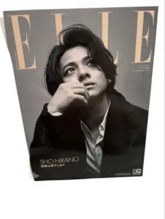 ELLE エル・ジャポン 平野紫耀
