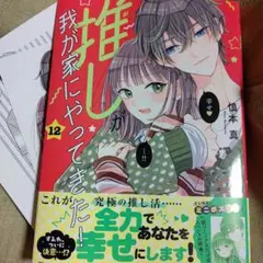 推しが我が家にやってきた! 12