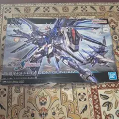 HG RISING FREEDOM GUNDAM 1/144