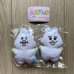 んぽちゃむ　かぷっこふれんず☆