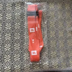 JBL入手困難希少新品未使用★JBLネックストラップ