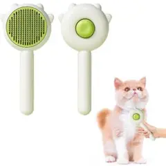 Item thumbnail for item 24defb6c-5ccb-4120-a828-6df420070804