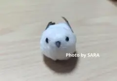 ことりくりっぷ シマエナガ　小首をかしげるシマエナガ　お顔厳選✨