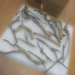 Item thumbnail for item 1c5a7bb9-fefe-45ab-a9b9-ed2b5bcb53ce