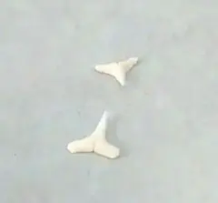 ã¢ã«ã·ã¥ã¢ã¯ã¶ã¡ãæ¯