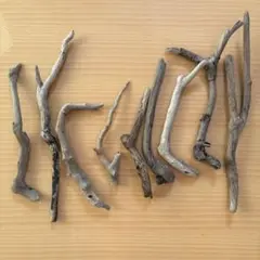 Item thumbnail for item 017c8cc5-92e6-473c-96aa-2d841bb694cd