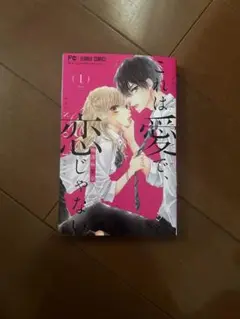 これは愛で恋じゃない 1～6巻セット