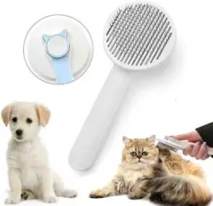 Item thumbnail for item 9c11394b-241c-4e0e-932c-0197405dda49