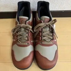 ムーンスター　ワールドマーチ　MW500 メンズ　ウォーキングシューズ　3E