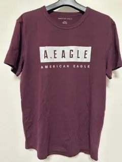 AMERICAN EAGLE バーガンディ Tシャツ M
